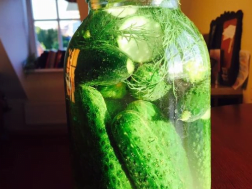 svieziai-raugginti-agurkai