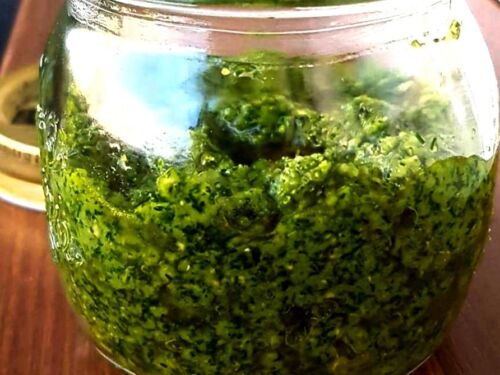Anakardžių ir krapų pesto