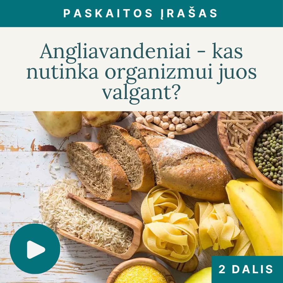 Paskaita-internetu-geri-ir-blogi-angliavandeniai-2-dalis-Vaida-Kurpiene_v3