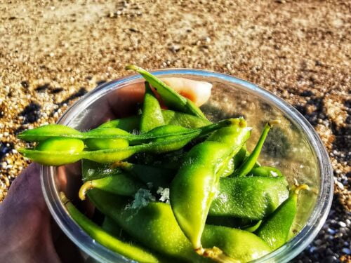 virtos-edamame-pupeles-pagardintos-juros-druska