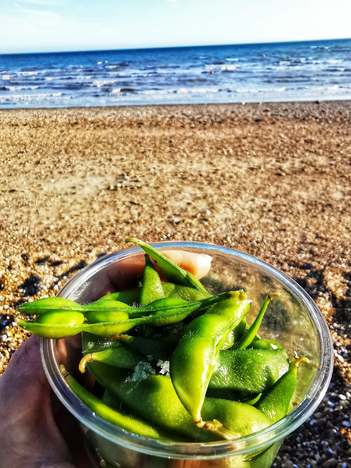 virtos-edamame-pupeles-pagardintos-juros-druska