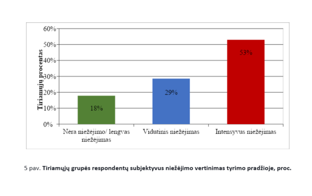 tyrimo_rezultatu_analize_ir_apibendrinimas_4