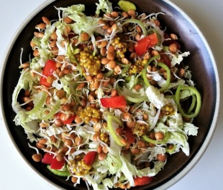 pekino-kopusto-papriku-ir-daigintu-lesiu-salotos