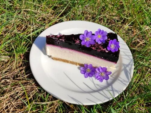 sluoksniuotas-varskes-tortas-su-melyniu-zele