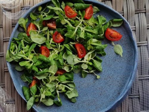 sulteniu-salotos-garnyrui-prie-zuvies-ar-feta-surio