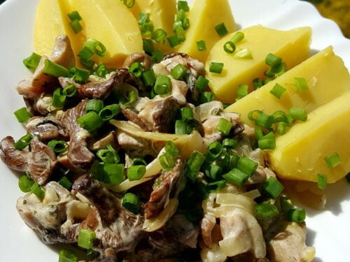 troskintos-voveraites-su-grietine-ir-virtomis-bulvemis