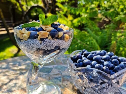 silauogiu-sotus-uzkandis-su-ispaninio-salavijo-seklomis