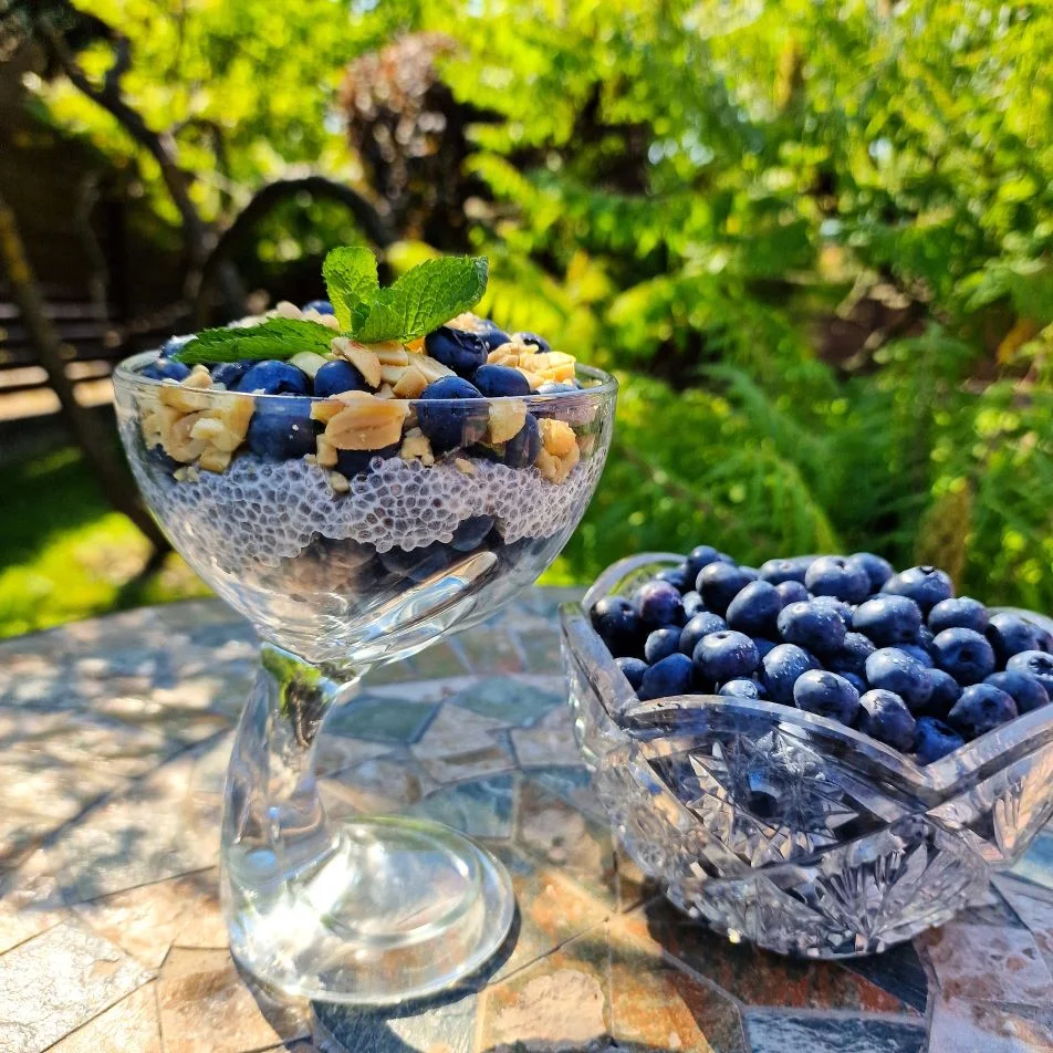 silauogiu-sotus-uzkandis-su-ispaninio-salavijo-seklomis