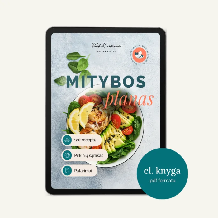 Mitybos_planas_vizualas