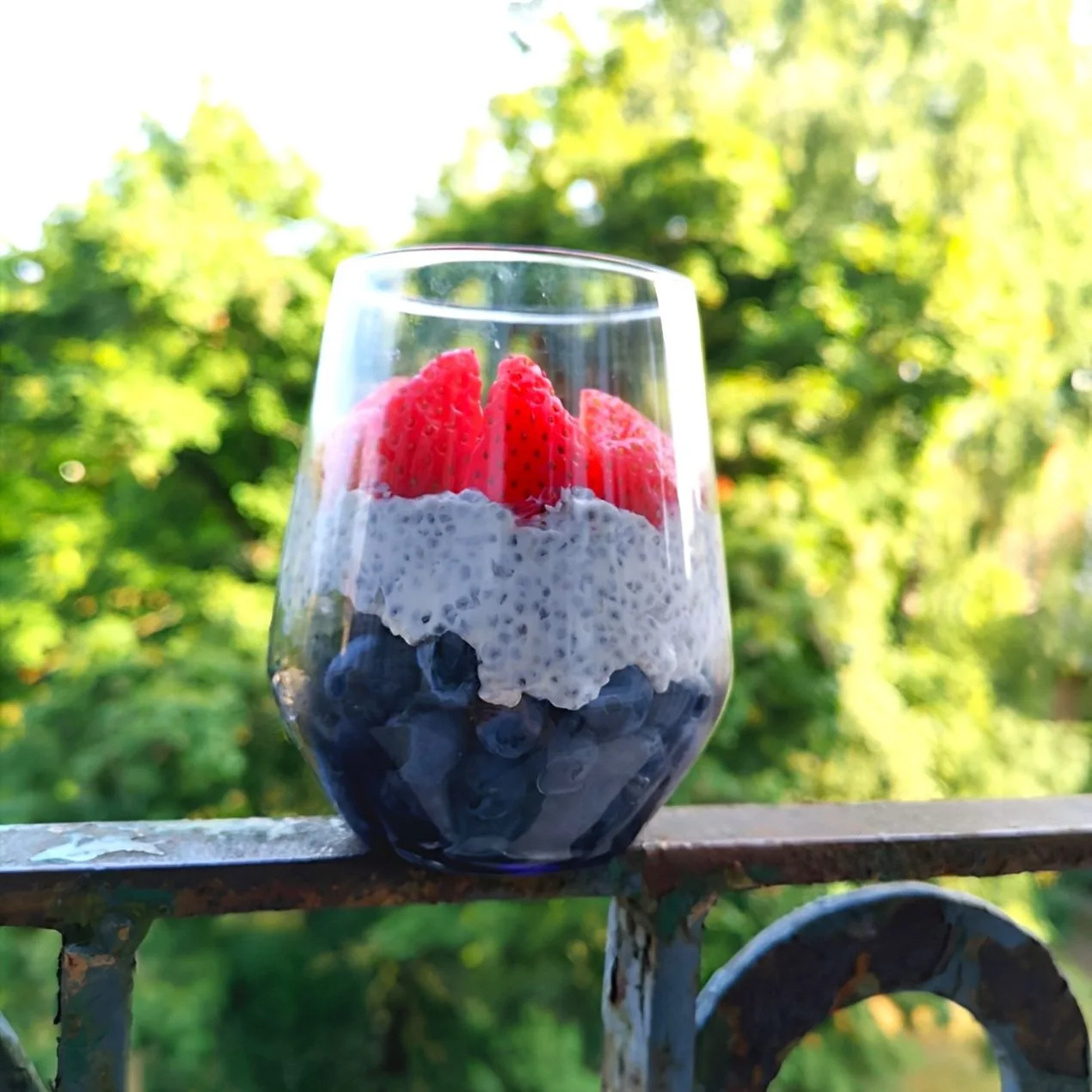 ispaninio-salavijo-sekl-chia-desertas-su-graikisku-jogurtu-ir-uogomis