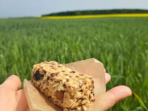 aviziniai-batoneliai-su-riesutais-ir-dziovintais-vaisiais