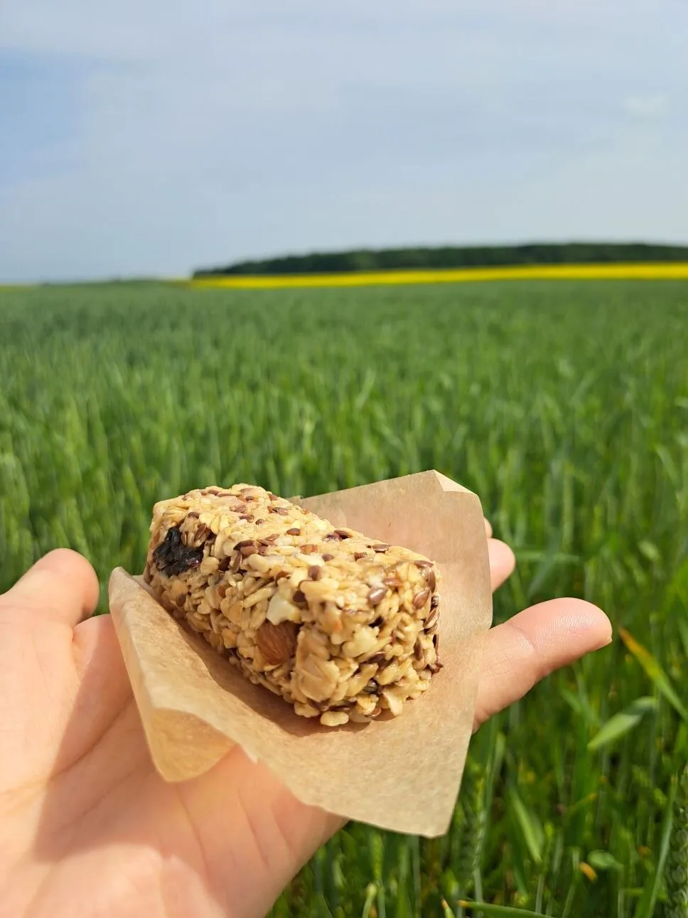 aviziniai-batoneliai-su-riesutais-ir-dziovintais-vaisiais