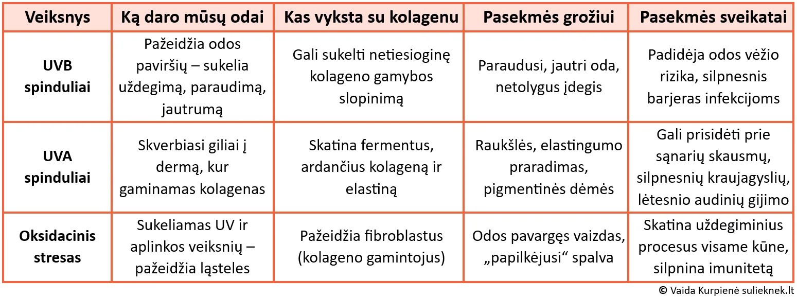 kolagenas-veiksniai
